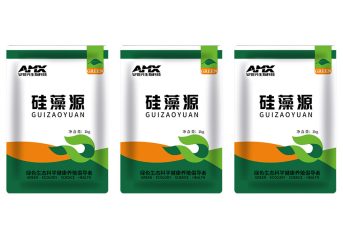 硅藻源