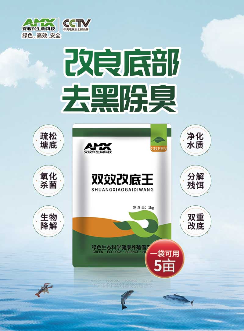 双效改底王介绍